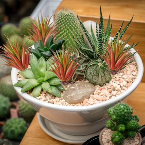 2PCS Artificial Succulents Plants Faux Succulents Unpotted Realistic Artificial Faux Succulent Yucca Vera Greenhouse small artificial succulents for DIY Home Garden Decoration Office(Autumn Green)