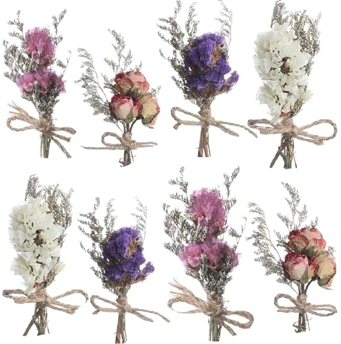 8Pcs Mini Dried Flowers Natural Forget-me-nots Dried Flowers Bouquet Don't Forget Me Flower Bouquets Natural Gypsophila Real Plant Stem Bunch for DIY Wedding Decor(be Some Slight Damage in Reality) - color: Type2