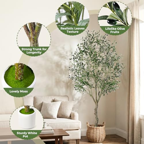 Jocoevol Olive Tree Artificial Indoor 6FT，Tall Faux Olive Tree with White Planter，Realistic Artificial Olive Tree Indoor with Natural Trunk and Lifelike Fruits for Home Office Living Room - size: 6ft