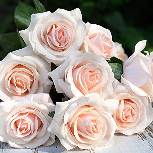 FiveSeasonStuff Fake Roses Wedding Flowers Real Touch Silk Cream Pink Artificial Flowers 12 Stems - color: Cream Pink