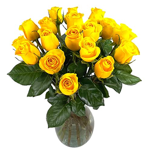 18 Yellow Roses with Vase | Arabella Bouquets | Real Fresh Flowers for Delivery, Gift for Birthday Women, Congratulations, Anniversary, Thank You, Mother's Day - color: Yellow, size: 18 Stems