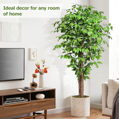6.2ft Ficus Artificial Trees with 3 Natural Curved Trunks, 74" Tall Lush Faux Tree for Home Decor Indoor, Green Lifelike Fake Ficus Tree Artificial Plants - size: 6ft 2in