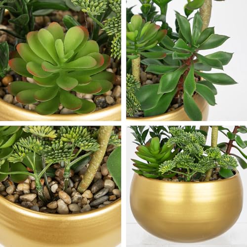 DILATATA Artificial Succulent Plants in Gold Pot Faux Succulent Arrangement Fake Potted Plants with Pebbles for Home Office Desk Shelf Table Decor - color: Gold #02
