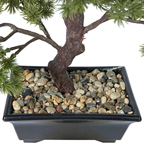 Vickerman Everyday Artificial Potted Pine Bonsai Tree 12" - Lifelike Home Or Office Decor - Premium Faux Potted Bonsai Tree - Maintenance Free Bonsai Plant