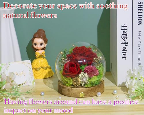 Valley of Rain & Forest Long-Lasting Real Flowers With Delivery | Unique Floral Gift For You to Send Love for All Occasions, Aesthetic Home Decor (Forever Preserved Red Carnation Arrangement) - color: Red Carnation Arrangement