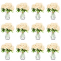 Zeyune 37 Pack Artificial Peonies Flowers with Bud Vase Bulk 24 Bundles Silk Peonies Bouquets 12 Plastic Clear Vase with 1 Rope Fake Flowers for Table Centerpiece Vases(Champagne,Round Head) - color: Champagne, style: Round Head