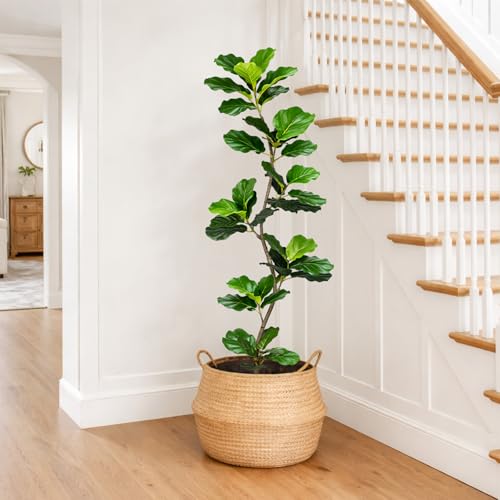 Artificial Fiddle Leaf Fig Tree-5 FT Fake Plant with Nursery Planter,Fake Plants for Home Office Living Room Decor Indoor - color: Fiddle Leaf Fig Tree Green