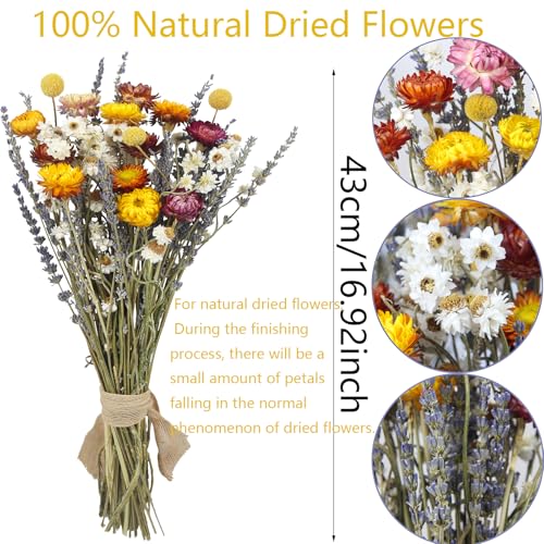 Dried Daisy Flowers Bouquet Natural Lavender Bundles Dried Gerber Daisies Craspedia Flowers Dried Daisies Multicolor Floral Arrangements for Wedding Party Table Centerpiece Decor Farmhouse DIY - color: Multi Color