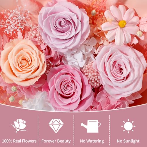 Lewondr Flower for Delivery, Preserved Flowers Bouquet, Mixed Rose Bouquet with Gift Box, Real Long-Lasting Forever Birthday Flowers Gifts for Wife Girlfriend Mother's Day Anniversary Proposal, Pink - color: Peach Pink