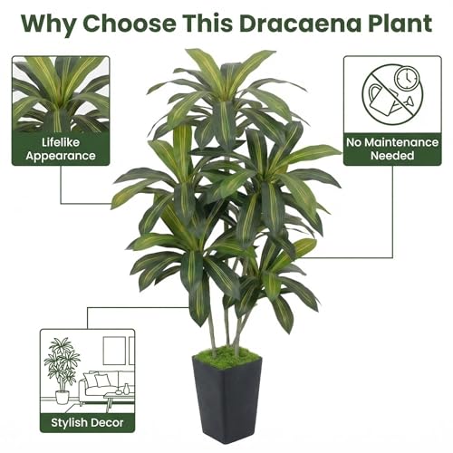 6ft Artificial Dracaena Tree | Realistic Faux Dragon Tree, Silk Tree with Pot, Indoor Home Office Decor For Corner, Modern Floor Plant - color: Black