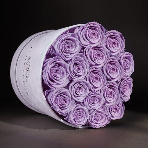 Prifroti 17 Flowers in a Luxury Suede Box, Birthday Gifts for Women, Preserved Flowers, Mothers Day Roses Gift for Mom, Lavender - color: Lavender, size: 17 Roses