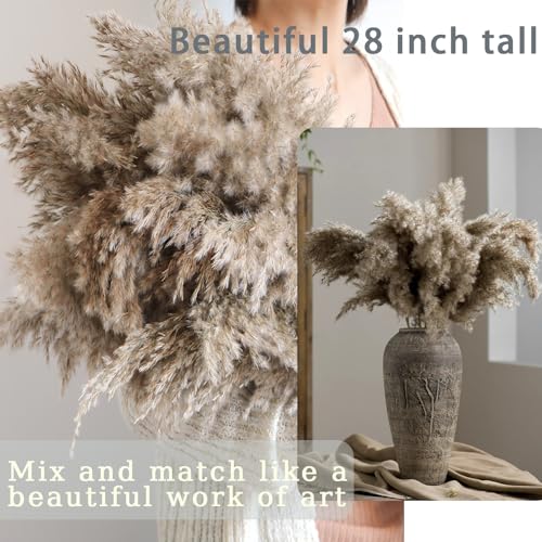 30 Stems 28” inch Fluffy Brown Pampas Grass Decor Tall - Natural Dried Pampas Grass, Large Pompas Grass, Dry Pampas Bulk for Living Room Decor, Boho Home Decor , Wedding Decor , Gift( 30 Brown ) - size: 30pcs brown
