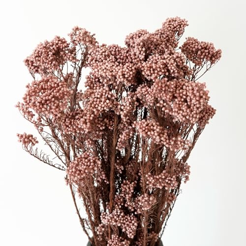 Natural Preserved Millet Flowers Dried Bouquet Flowers and Plants Arrangements for Home and Wedding Decoration (Deep Milk Tea Color) - color: Deep Milk Tea Color