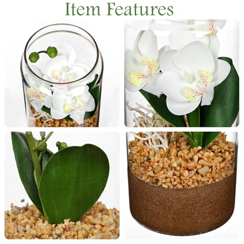 White Orchids Artificial Flowers with Vase, Small Faux Orchid Arrangement Fake Orchids Plant in Terrarium Jar Small White Orchid Centerpieces for Kitchen Dining Room Tables Bathroom Nightstand Decor - color: White + Brown Sand+white Root