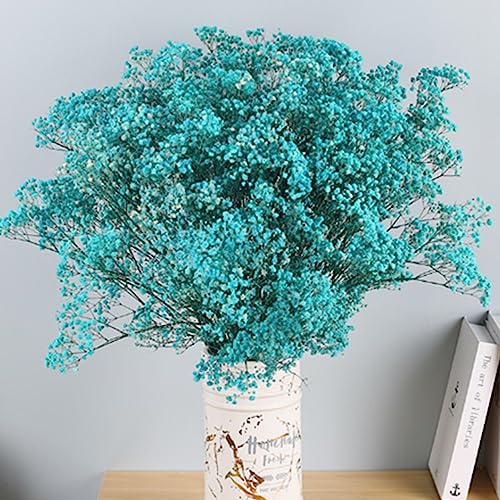 17.2 Inch Dried Flowers Baby's Breath Bouquet - 2500+ Dry Flowers,Natural Gypsophila Branches for Home Decor, Wedding, Table Decor, DIY Wreath Floral, Dry Flowers Bulk for Vase (Blue) - color: Blue