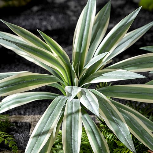 Artificial Agave Plant Fake Agave Planters for Indoor Outdoor Faux Agave Plants Real Touch Realistic Greenery for Home Living Room Office Bathroom Garden Front Porch Patio Decor (19inch-2 Pcs White) - size: 19inch-2 Pcs White