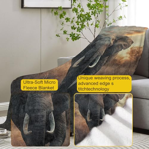 Elephant Fleece Blanket, Realistic Wildlife Scene, Soft Elephant Throw 40x50 inches, Perfect for Nature Lovers - Earth Tones - color: Color449, size: 40"x50"