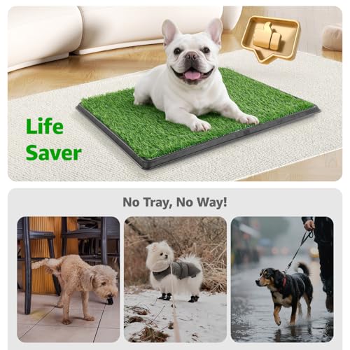 Portable Dog Grass Pad with Tray 20''x30'': Dog Litter Box with Artificial Grass Patch Bathroom Mat & Washable Pee Pad for Puppy Potty Training, Pet Loo Indoor Outdoor Use for Patio Balcony Apartment - size: 20"x30"（Potty System)