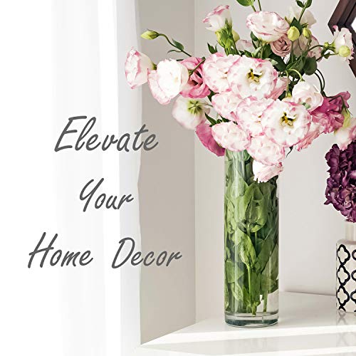 CYS EXCEL Cylinder Clear Glass Vase (H:20" D:6") | Multiple Size Choices Glass Flower Vase Centerpieces | Hurricane Floating Candle Holder Vase - size: H-20" D-6"