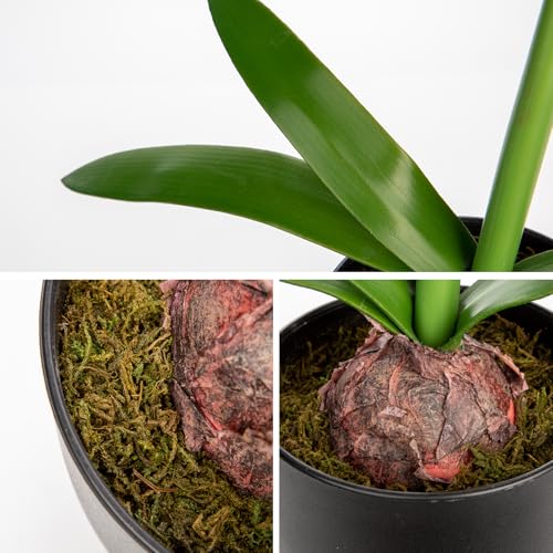Briful White Amaryllis Fake Flowers 17.3'' Tall Silk Amaryllis Plant in Black Pot Artificial Floral Arrangement with Decorative Bulb for Home Office Bathroom Kitchen Table Holiday Décor - color: White, size: Black Plastic Pot