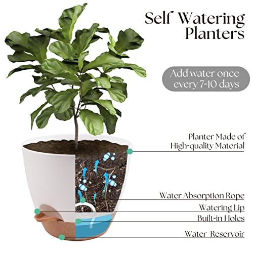 TYMENSH Plant Pots 12/10/9 Inch Set of 3, Self Watering Planters with Drainage Holes and Water Reservoir, Heavy Duty Plastic Flower Pots for Indoor Outdoor Plants, White - color: White