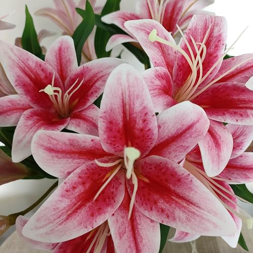 Artificial Lilies Flowers,10Pcs Faux Lily Flower,20''Tiger Lily Branch with 2 Full Blooms, Faux Fake Lilies Plants for Wedding Bouquet Home Party Indoor Floral Arrangements (10, hot Pink) - color: Hot Pink
