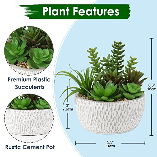 Briful Small Fake Plants Assorted Faux Succulents in Pots Realistic Succulents Plants Artificial with Cement Pots for Home Table Office Desk Bathroom Shelf Living Room Decor - color: Succulent #03
