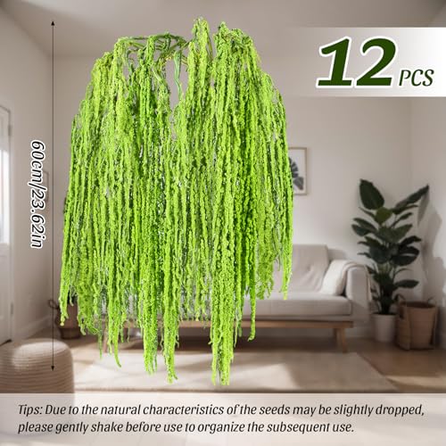 Suncalla 12 Pcs Green Spring Natural Dried Amaranthus Hanging Flowers Amaranthus Artificial Flowers for Wedding Arch Bouquet Floral Garland Wall Home Decoration (23 Inch) - color: Green