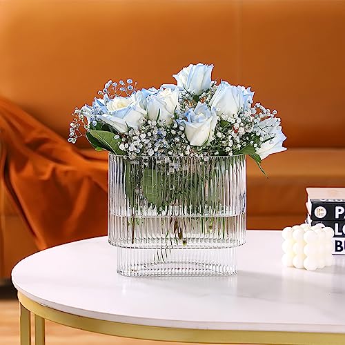Ribbed Vase, Fluted Glass Vase for Flowers, Clear Flower Vases for Tulips, Modern Vases for Living Room, Dining Table, Office, Bedroom, Mantle, Shelf, Wedding, 7 Inch - color: Clear, size: Oval 7 Inches
