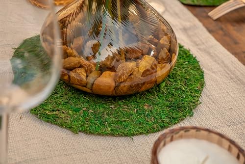 SuperMoss (26325) Moss Soil Toppers (Place Mats), Fresh Green, 16" (3 units) - color: Fresh Green, size: 16" (3 units)