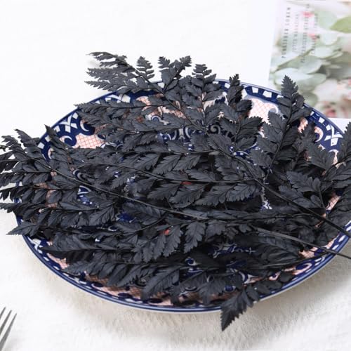 Fern Preserved Black Ferns, 10 PCS Dried Boston Fern with Stems, 15'' Real Leaves for Dried Flowers Arrangements Wedding Garland Bouquets Home Party Centerpiece Table Decorations Vase Filler
