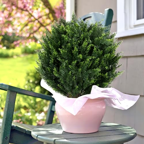 21''T Artificial Cedar Topiary Ball Tree 2 Pack, Outdoors Artificial Shrubs Fake Plants Uv Rated Potted Plants for Outdoor, Indoor, Front Door, Office Decor. - size: Artificial Ball Tree