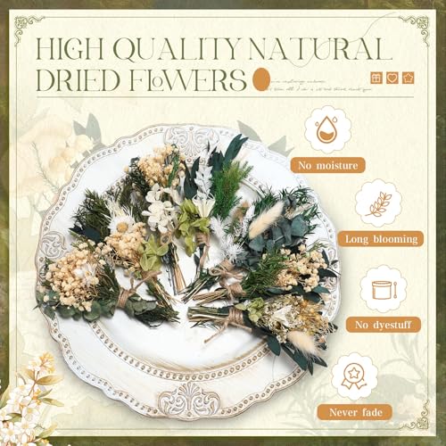 Layhit 24 Pcs Boho Dried Flower Bouquet Mini Wedding Handmade Dry Flowers Decor for Vase Crafts DIY Photo Boutonniere for Men Floral Plant for Bridesmaid Gift Birthday Decor(Greenery) - style: Greenery