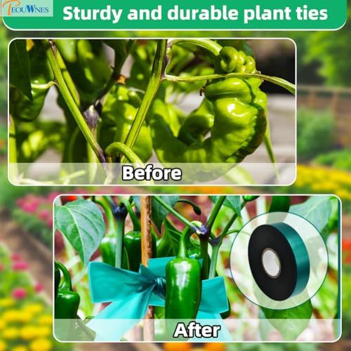 150 FEET x 1" Wide Thick Stretch Non-Adhesive Tie Tape, Green Plant Garden Tie, Plant Ribbon for Branches, Climbing Planters, Flowers - size: 1 Inch Wide