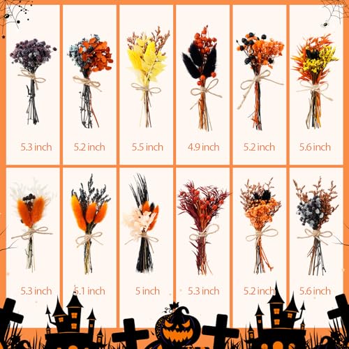 10/12/24/36 Pack Mini Dried Flowers for Vase Summer Halloween Wedding Various Mini Bouquet Dried Small Wildflowers Natural Flowers Bulk for Crafts DIY Decor (12, Orange Black 2) - size: Orange Black 2