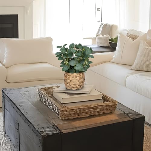 DILATATA Artificial Eucalyptus Stems in Woven Basket Planter, 11" Fake Plant Eucalyptus Leaves with White Seeds Faux Potted Plant Greenery for Table Centerpiece Office Indoor Home Decor - color: Style#1