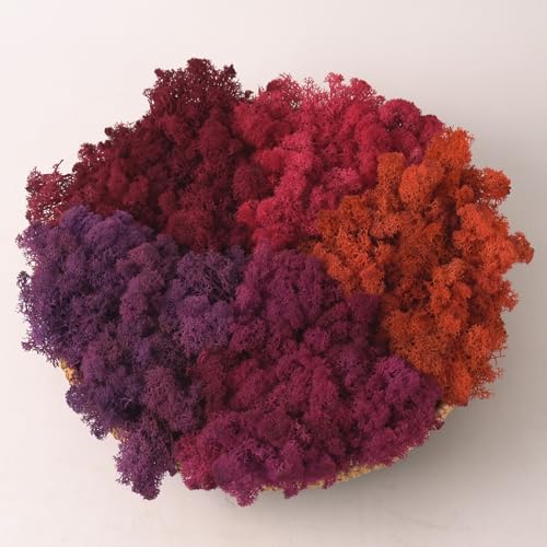 Preserved Reindeer Moss Natural Green DIY Kit Gardenning Art Wall Decor Florist Decor Easter Table Decor Wedding - color: Style-18, size: 1 lb