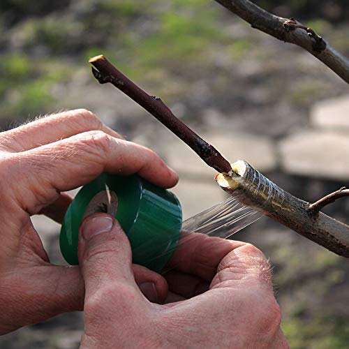 HAINANSTRY Grafting Tape 2 PCS, Stretchable Garden Grafting Tape Plants Repair Tapes for Floral Fruit Tree and Poly Budding Tape - Green & White - size: Pack of 2