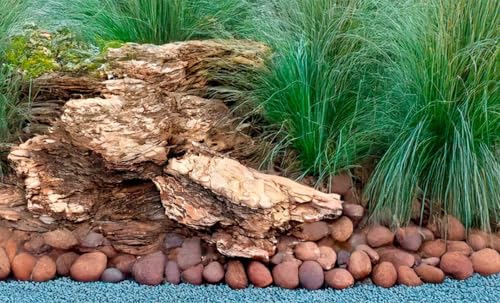 SuperMoss (23255 Decorative Bark – Natural Orchid Bark for Indoor Plants, Terrariums, Fairy Gardens & Reptile Tanks | Home Decor, Potting Soil, & Floral Arrangements, 1,564 cu in, Natural - color: Natural Brown, size: 1,564 cu in