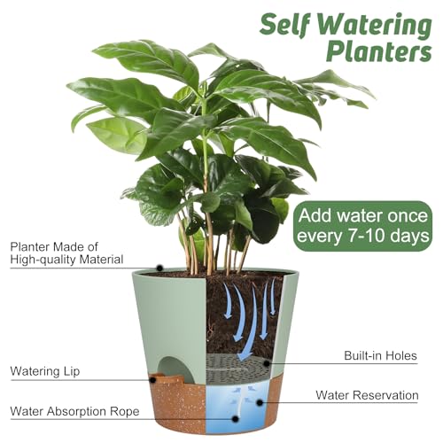 YNNICO 10-Inch Plant Pots, Self-Watering Planters with Drainage Holes & Saucers for Indoor and Outdoor Plants (2-Pack, Green) - color: Green, size: 10 inch