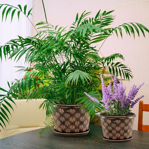 8 Inch Planter Pots for Plants, Plastic Flower Pots Indoor Outdoor, 5 Pack Resin Plant Pot with Drainage & Saucer, Retro Decorative Garden Pot with Removable Trays for House - color: 8 Inch