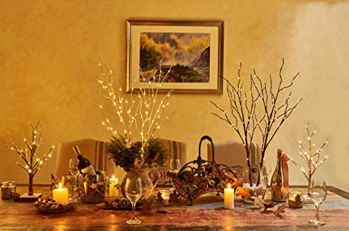 Hairui Lighted Brown Twig Branches Plug in with Dimmer and Timer 30IN 150 LED Fairy Lights, Lighted Willow Branches for Indoor Outdoor Spring Christmas Room Wedding Decoration (Vase Excluded) - style: Brown+Warm White 1set