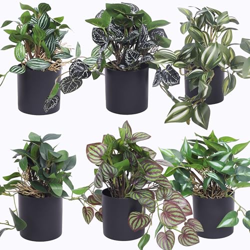 6 Pack Artificial Potted Plants - Fake Trailing Greenery with Unique Variegated/Striped/Dark-Veined Leaves - Small Faux Plants for Desk, Bathroom, Shelf Decor - No Watering Needed