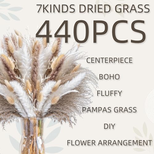 440PCS Natural Pampas Grass Mix Bouquet | Dried Pampas Bouquet for Wedding Boho Flowers Home Table Decor Desk Decor, Rustic Farmhouse Decor (440PCS) - size: 440PCS