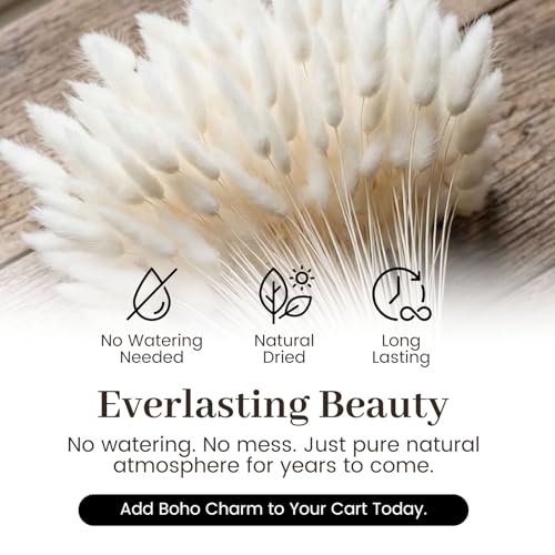 JOHOUSE 120PCS Dried Pampas Grass Decor, 17inch White Bunny Tails Dried Flowers, Bunny Tails Handpicked Bunch, Boho Flowers Home Table Decor, Wedding Decorations for Home