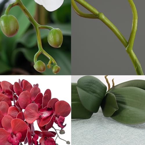 FagusHome 6 Pcs Artificial Phalaenopsis Flowers with 4 Bundles Leaves Artificial Orchid Flowers Stem Plants for Home Décor (Red), FH146