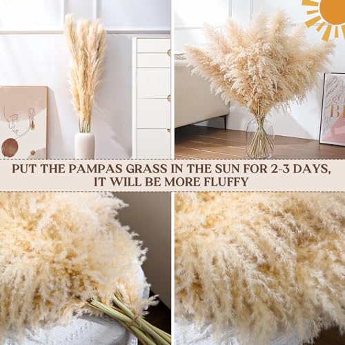 Pasuvsigt 12pcs 40'' Dried Pampas Grass Decor - Tall-Large Pampas Grass - Natural Beige - Boho Home Decor