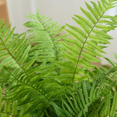 30" Fake Ferns Plants with 24 Fronds Faux Boston Fern Realistic Artificial Greenery Stems for Vase Home Decor Indoor 2Pcs