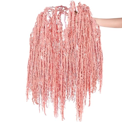 Suncalla 12 Pcs Pink Spring Natural Dried Amaranthus Hanging Flowers Amaranthus Artificial Flowers for Wedding Arch Bouquet Floral Garland Wall Home Decoration (23 Inch) - color: Pink