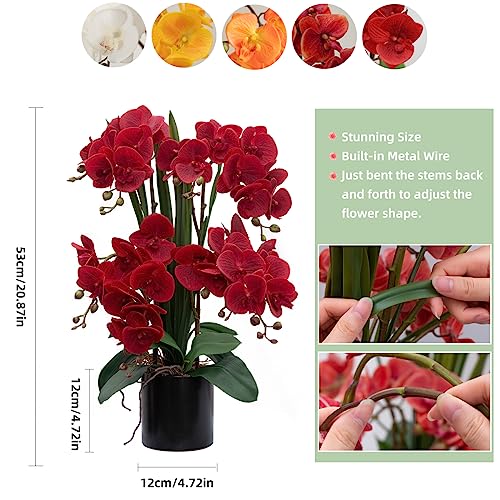 CXGS Artificial Orchid Flower Plants Real Touch Faux Orchids in Ceramic Vase 20.9'' Red Phalaenopsis Orchid Fake Flower Arrangement Home Indoor Decor - color: Red- Black (12cm)